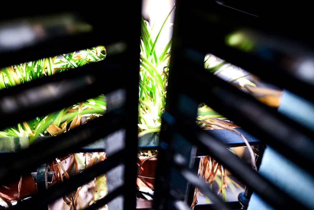 Casa Alfalfa 2 Dormitorios Terraza Y Solarium Privado Севилья Экстерьер фото